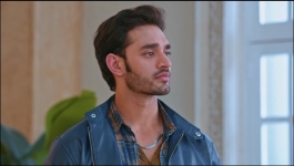 Apollena - 8th February 2025